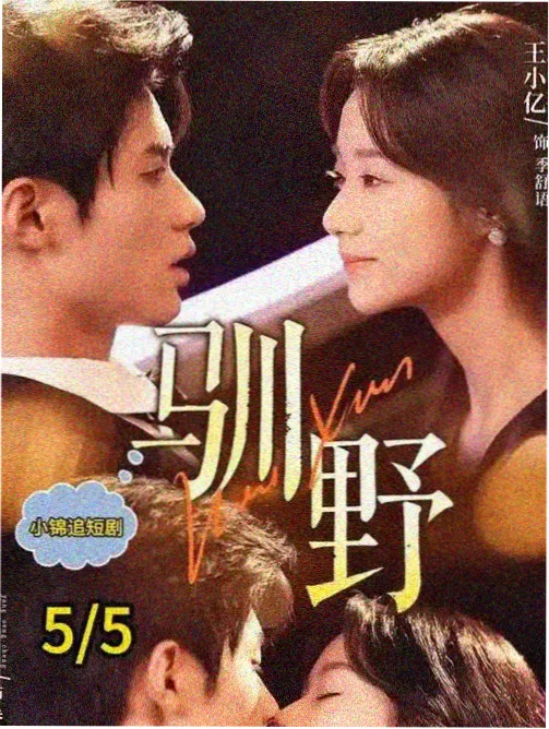 金牌影院电视剧在线观看 亮剑